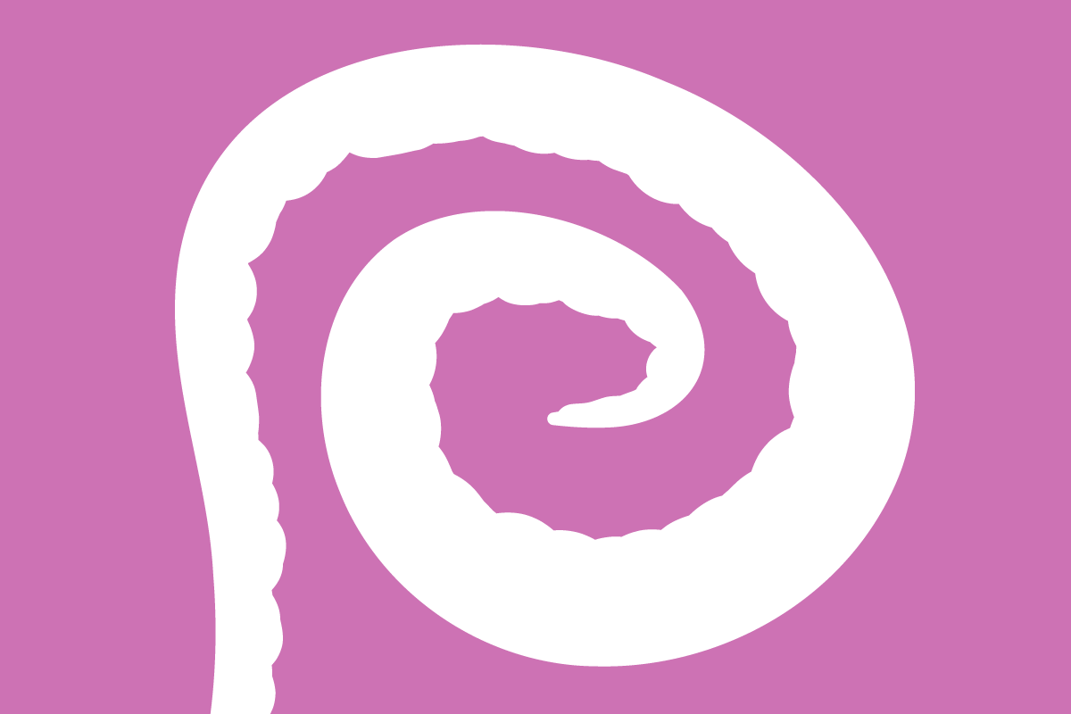 Fiddlehead with pink background
